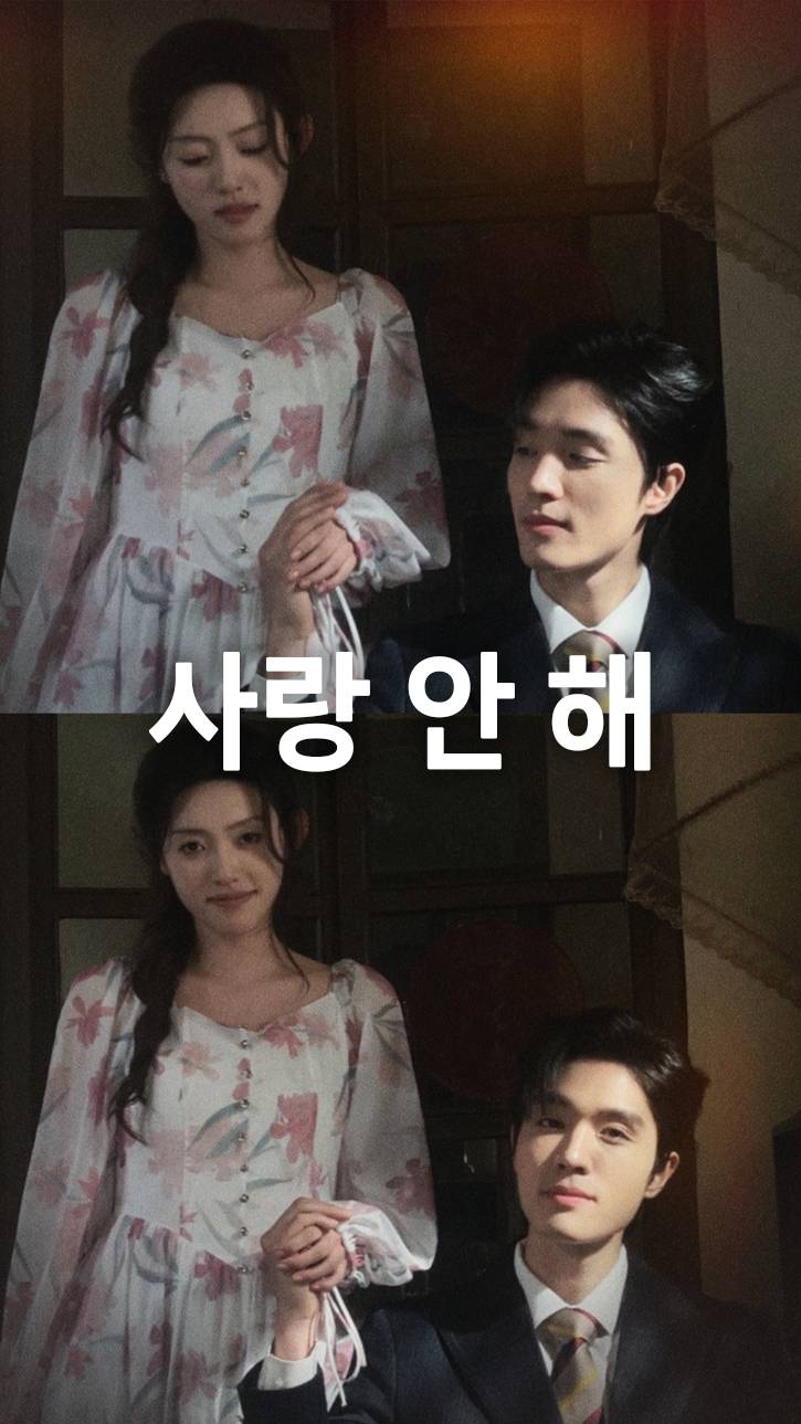 사랑 안 해